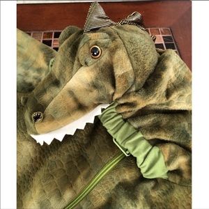 Dinosaur Costume